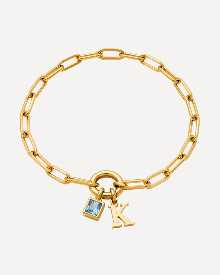 Jane Initial Birthstone Bracelet with Paperclip Chain